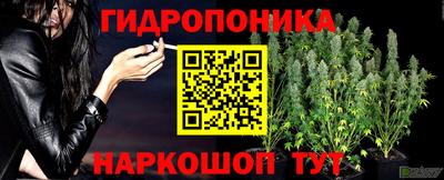 соль ск Краснодар