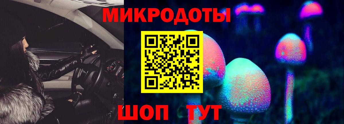 Карталы  Псилоцибиновые грибы Cubensis  Вход с VPN  Псилоцибиновые грибы Cubensis 